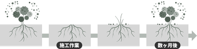 拭き取り処理