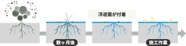 除カビ防カビ処理