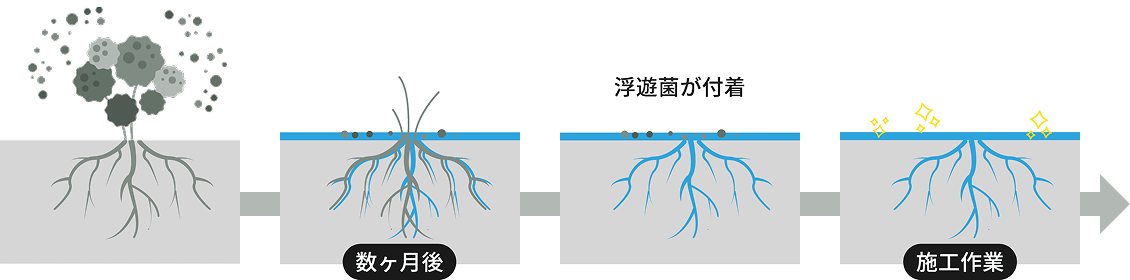 除カビ防カビ処理