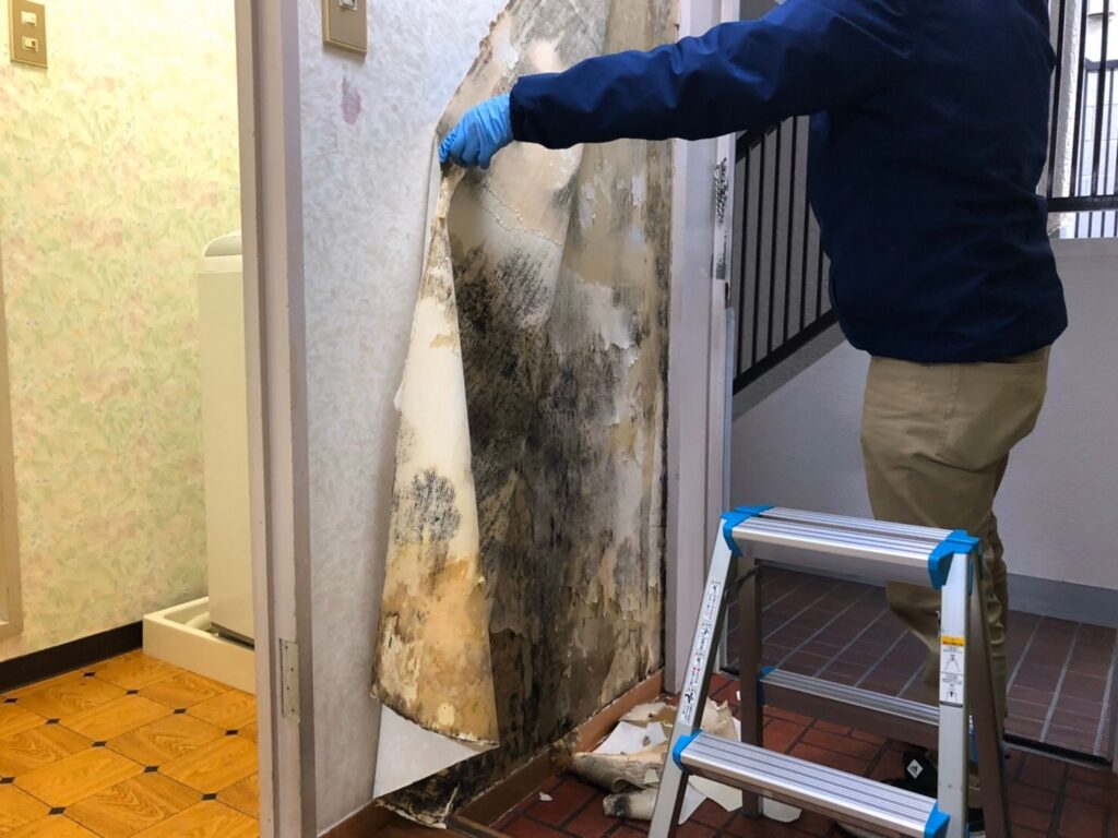 壁 カビ 取り