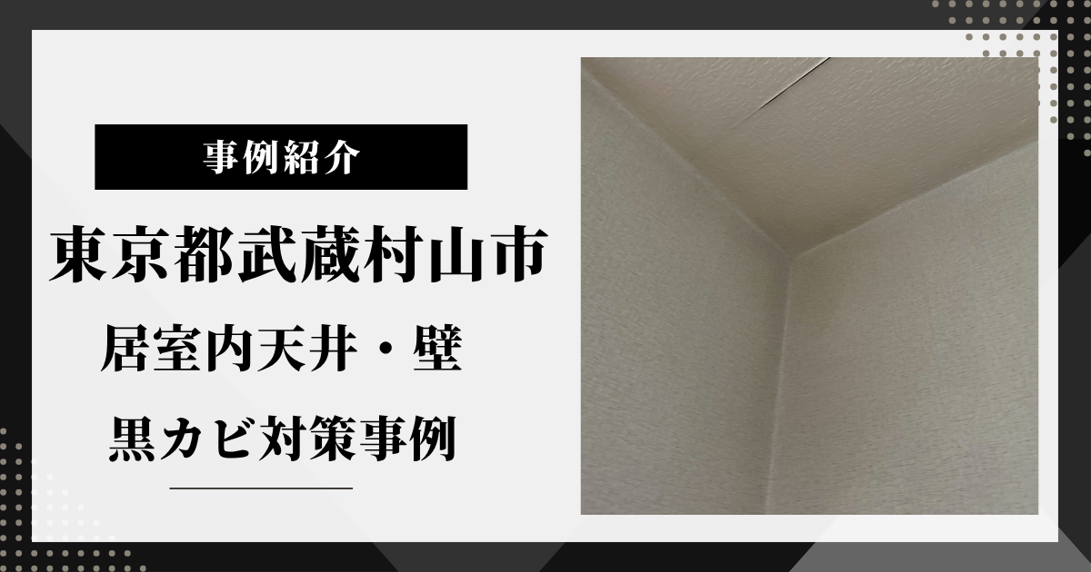 東京都武蔵村山市の居室内天井・壁の黒カビ対策