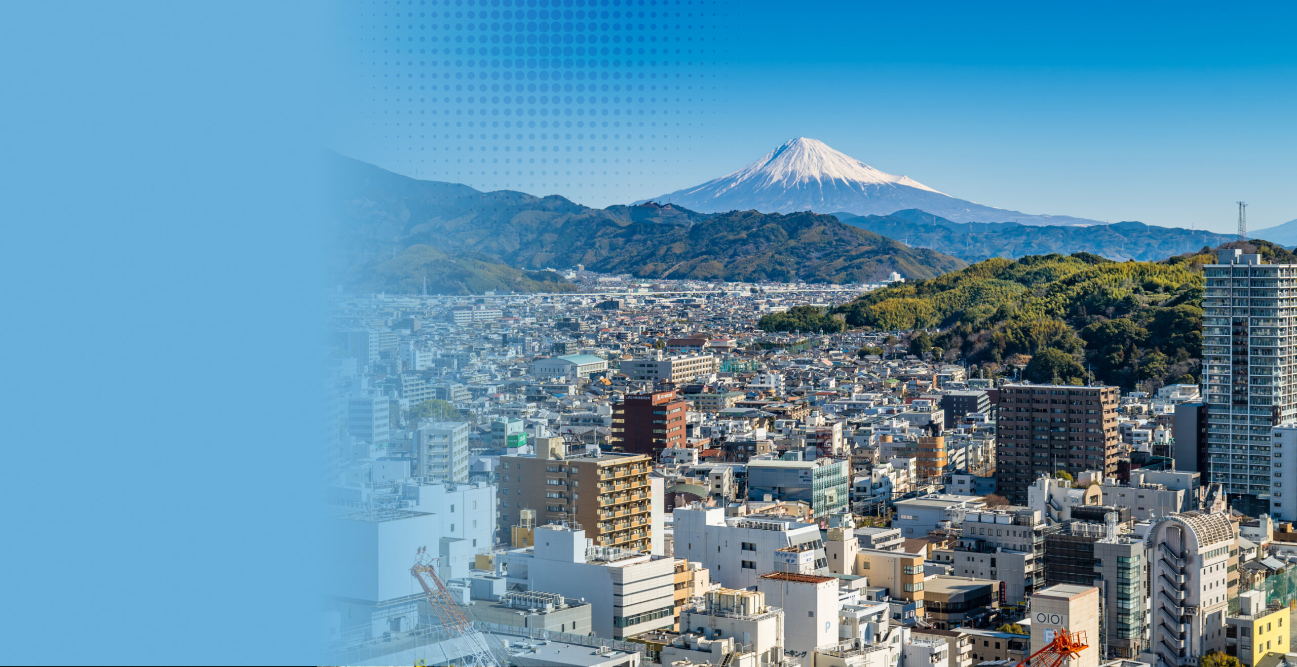 shizuoka